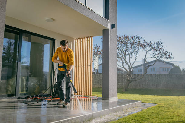 Best Solar Panel Cleaning  in Bagley, MN